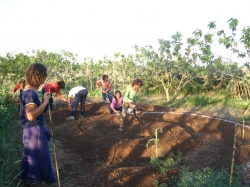 La Fattoria degli Studenti, bambini senesi a lezione di agricoltura