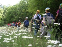 Estate nei campi avventura del Wwf, on-line tutti i programmi