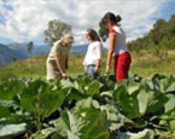 Agronomi e forestali, professionisti al servizio della moderna impresa agricola