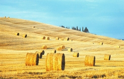 Politica europea difenda paesaggio Val d’Orcia. L’appello di Toscana Cereali