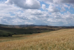 Alla Bottega degli Agricoltori, in Val d’Orcia, l’assemblea di Slow Food Toscana