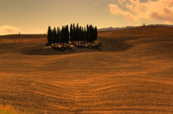 San Quirico d’Orcia, i cipressi hanno il copyright