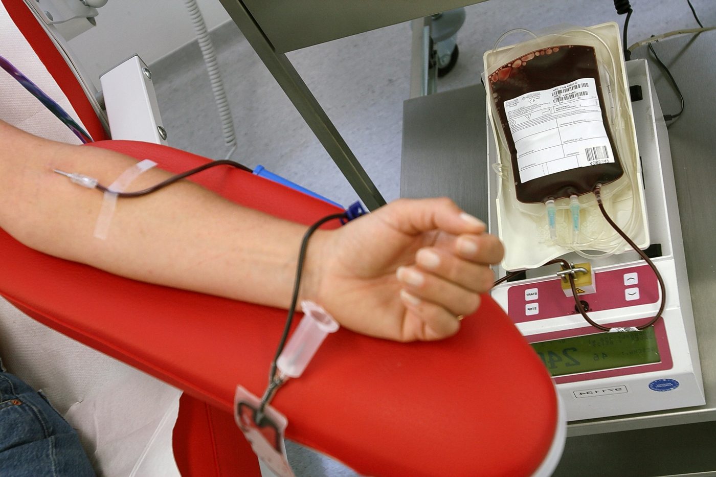 Servono Sangue E Plasma L Appello Donate Prima Delle Vacanze