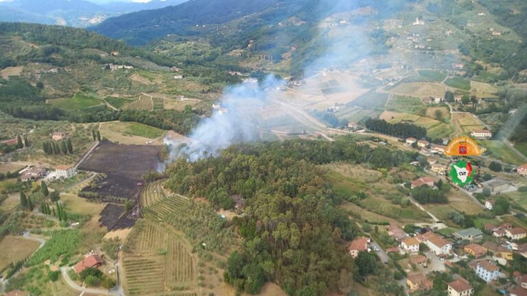 Trenta incendi boschivi in meno nel 2024: Grosseto la più colpita. Saccardi: “Fondamentali gli investimenti nella prevenzione”