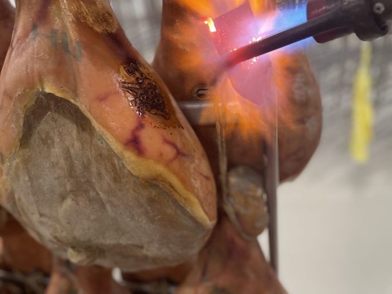 A Monte San Savino un nuovo stabilimento Citterio per la produzione di Prosciutto Toscano Dop