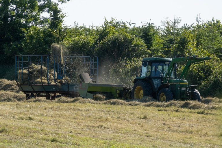 L’export agroalimentare toscano vale 3,5 miliardi: crescita media dell’8% negli ultimi cinque anni