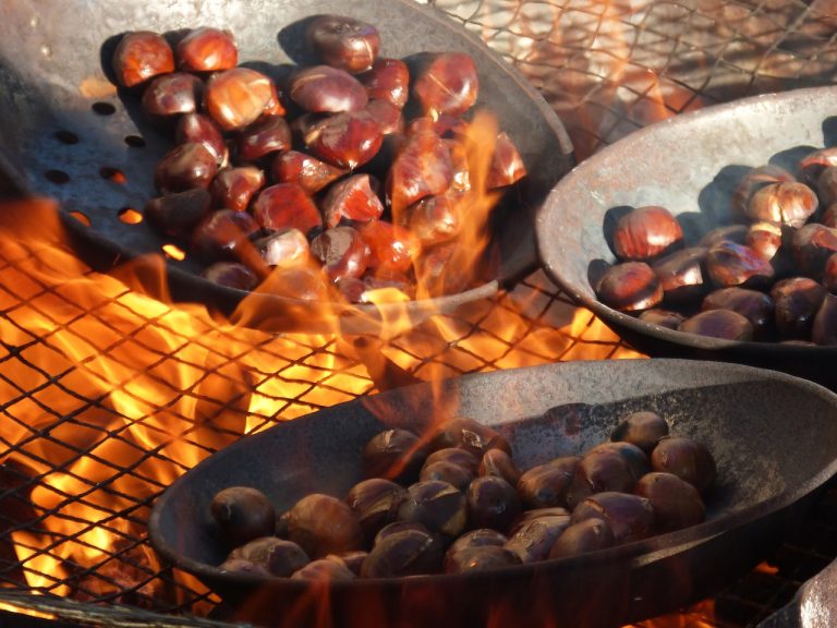 Castagne, annata generosa. In Toscana +20% rispetto alla raccolta 2023