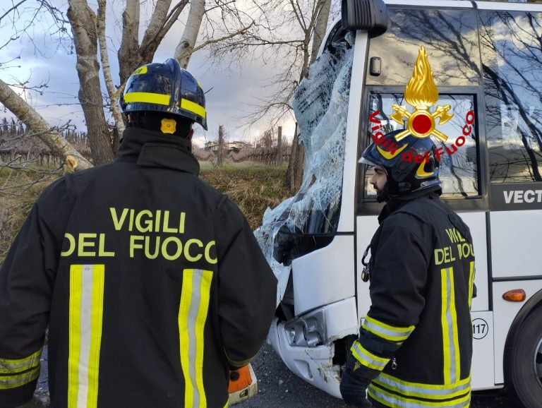 Albero cade e colpisce scuolabus: nessun ferito grave